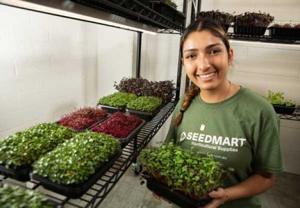 Grow Microgreens | Seedmart Australia